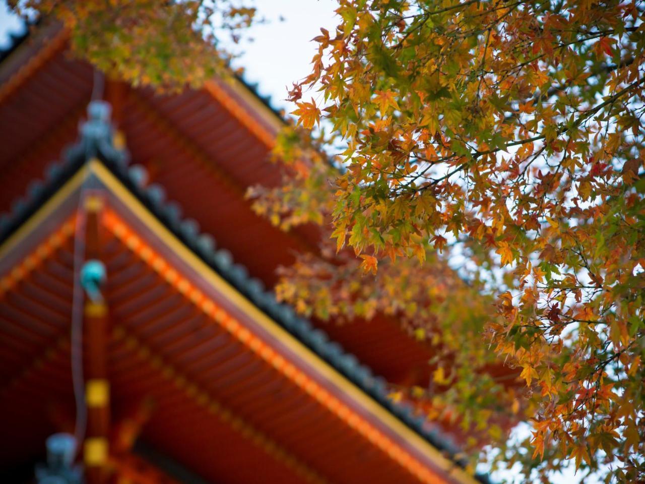 Saka Hotel Kioto Exterior foto